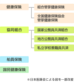 公的保険の主な保険者