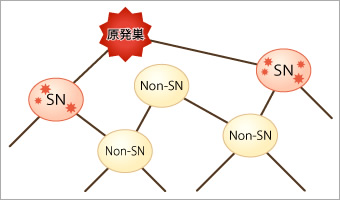 図1●センチネルリンパ節