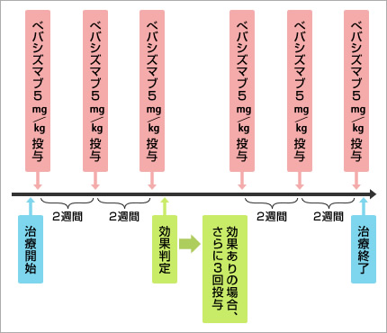 図2●べバシズマブの投与手順