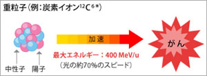 光速の約70％まで重粒子（炭素イオン）を加速できるシンクロトロン。加速された炭素イオンを患者に照射して治療する