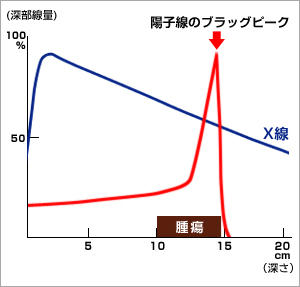 図1●線量分布図