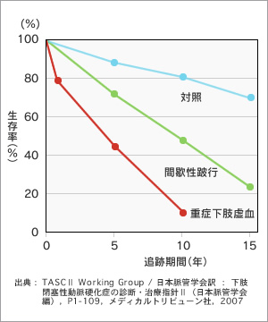 図3●追跡期間から見る生存率