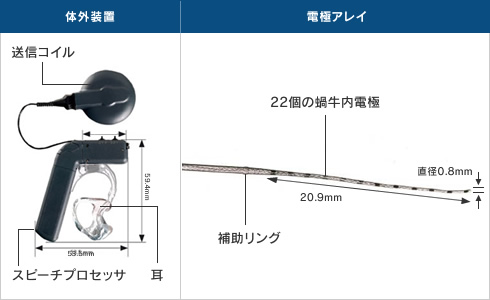 図3●残存聴力活用型人工内耳（写真）