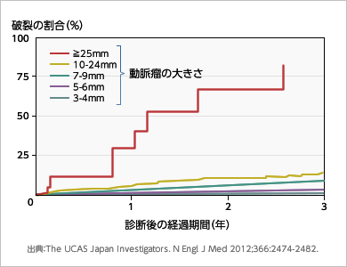 動脈瘤の大きさと破裂の割合